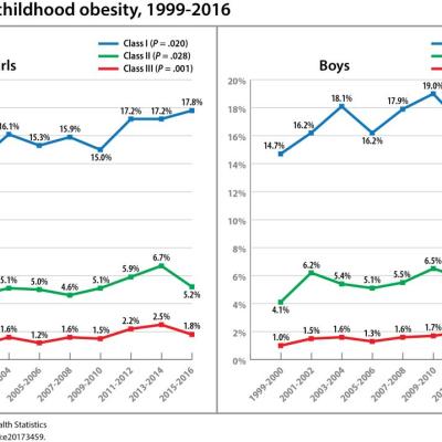 New Research Dissects Transgenerational Obesity And Diabetes Mdedge